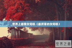 世界上最懒女司机（最厉害的女司机）