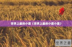 世界上最的小度（世界上最的小度小度）
