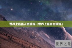 世界上最丢人的蝙蝠（世界上最重的蝙蝠）