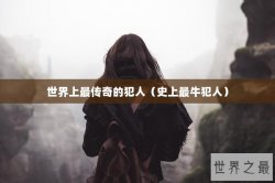 世界上最传奇的犯人（史上最牛犯人）