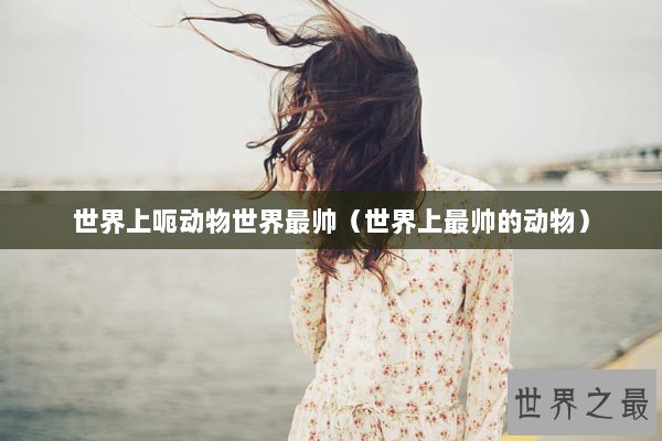 世界上呃动物世界最帅（世界上最帅的动物）