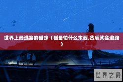 世界上最逃跑的猫咪（猫最怕什么东西,然后就会逃跑）