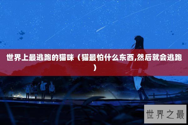 世界上最逃跑的猫咪（猫最怕什么东西,然后就会逃跑）