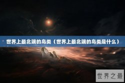 世界上最北端的鸟类（世界上最北端的鸟类是什么）