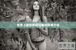 世界上最珍贵的马桶的简单介绍