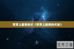 世界上最乖的犬（世界上最乖的犬类）