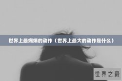 世界上最燃爆的动作（世界上最大的动作是什么）