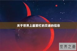 关于世界上最繁忙的交通的信息