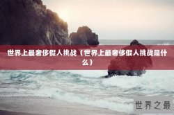 世界上最奢侈假人挑战（世界上最奢侈假人挑战是什么）
