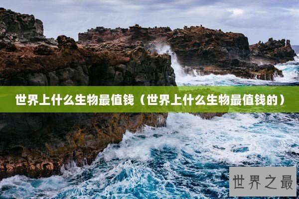 世界上什么生物最值钱（世界上什么生物最值钱的）