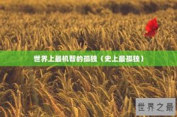 世界上最机智的孤独（史上最孤独）
