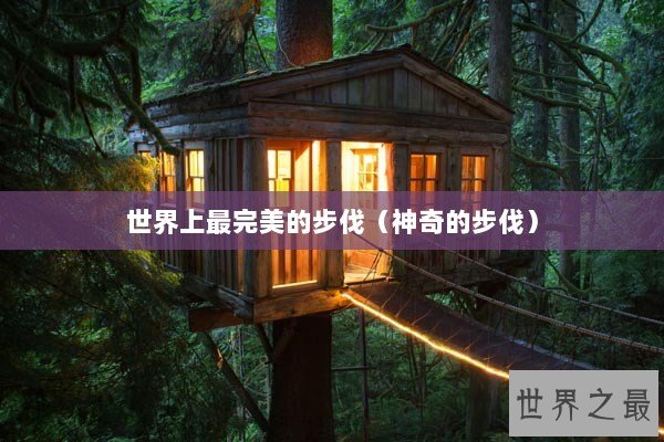 世界上最完美的步伐（神奇的步伐）