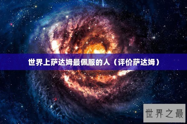 世界上萨达姆最佩服的人（评价萨达姆）