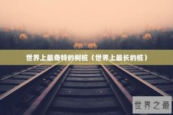 世界上最奇特的树桩（世界上最长的桩）