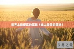 世界上最便宜的篮球（史上最贵的篮球）