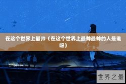 在这个世界上最帅（在这个世界上最帅最帅的人是谁呀）