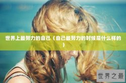 世界上最努力的自己（自己最努力的时候是什么样的）