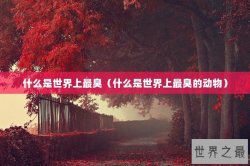 什么是世界上最臭（什么是世界上最臭的动物）
