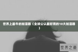 世界上最牛的加湿器（全球公认最好用的10大加湿器）