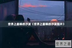世界上最棒的沙发（世界上最棒的沙发图片）