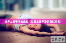 世界上最干净的鱼缸（世界上最干净的鱼缸排名）