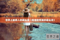世界上最感人的藏头诗（有哪些有趣的藏头诗）