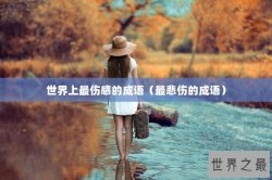 世界上最伤感的成语（最悲伤的成语）