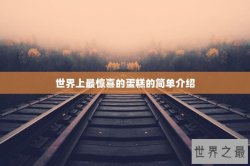 世界上最惊喜的蛋糕的简单介绍