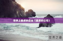 世界上最皮的企业（最皮的公司）