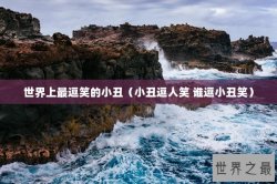 世界上最逗笑的小丑（小丑逗人笑 谁逗小丑笑）