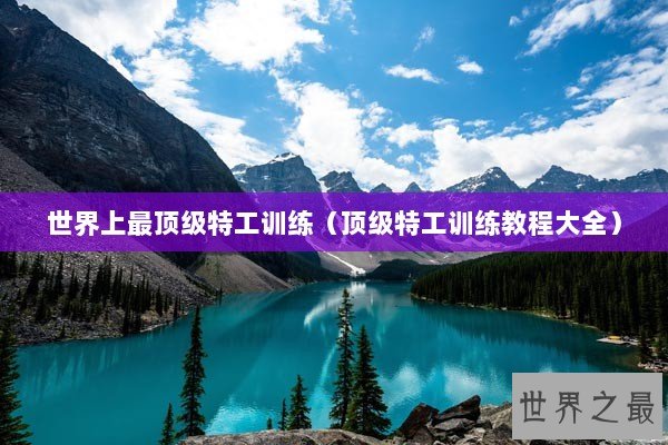 世界上最顶级特工训练（顶级特工训练教程大全）