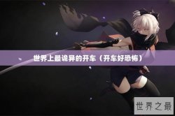 世界上最诡异的开车（开车好恐怖）