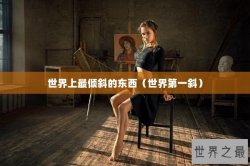 世界上最倾斜的东西（世界第一斜）