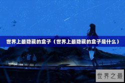 世界上最隐藏的盒子（世界上最隐藏的盒子是什么）