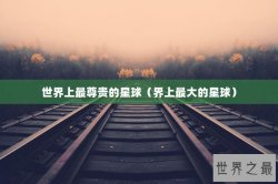 世界上最尊贵的星球（界上最大的星球）