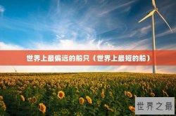 世界上最偏远的船只（世界上最短的船）