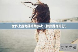 世界上最奇葩摔角游戏（摔跤游戏排行）