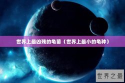世界上最凶残的龟苗（世界上最小的龟种）