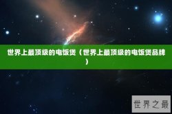 世界上最顶级的电饭煲（世界上最顶级的电饭煲品牌）