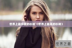 世界上最珍贵的杉树（世界上最高的杉树）