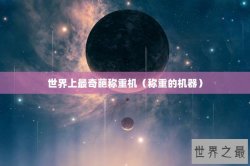 世界上最奇葩称重机（称重的机器）