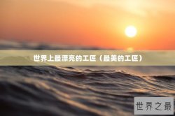 世界上最漂亮的工匠（最美的工匠）