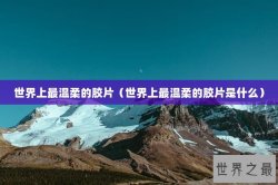 世界上最温柔的胶片（世界上最温柔的胶片是什么）
