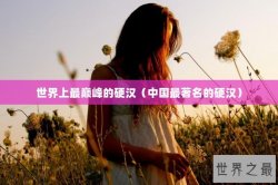世界上最巅峰的硬汉（中国最著名的硬汉）