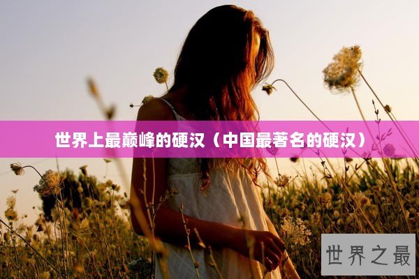 世界上最巅峰的硬汉(中国最著名的硬汉) 世界上最巅峰的硬汉(中国最著名的硬汉)