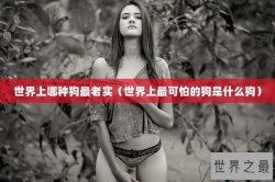 世界上哪种狗最老实（世界上最可怕的狗是什么狗）