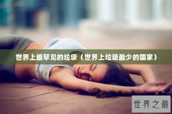 世界上最罕见的垃圾（世界上垃圾最少的国家）