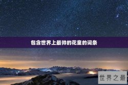 包含世界上最帅的花童的词条