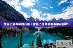 世界上最真实的韭菜（世界上最真实的韭菜花图片）