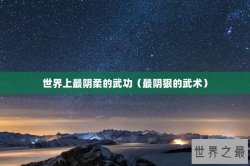 世界上最阴柔的武功（最阴狠的武术）